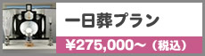 80万円プラン